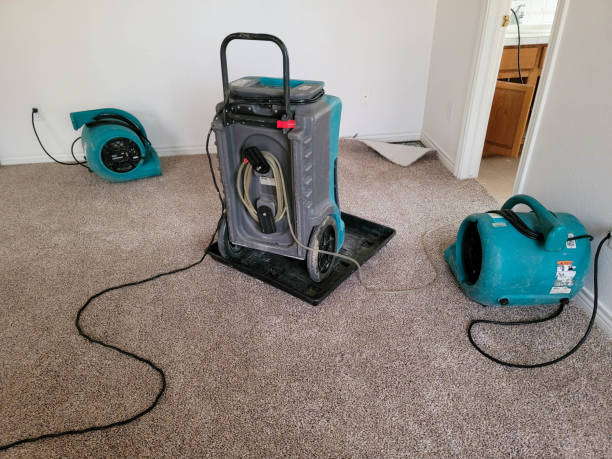 Best Water damage restoration near me  in Camilla, GA