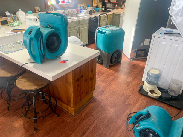 Best Water damage restoration insurance claims  in Camilla, GA