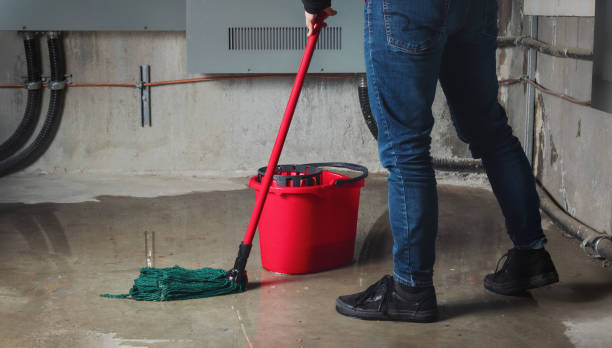 Best Fire Damage Restoration  in Camilla, GA