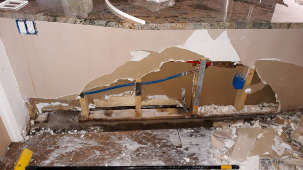 Best Mold removal after water damage  in Camilla, GA