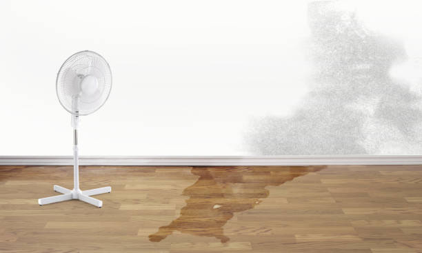 Best Fire Damage Restoration  in Camilla, GA