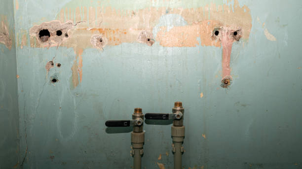 Best Water damage restoration near me  in Camilla, GA