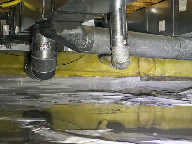 Best Ceiling water damage repair  in Camilla, GA