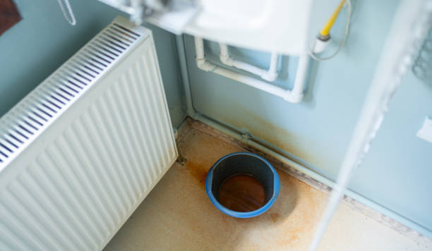 Best Water damage cleanup near me  in Camilla, GA
