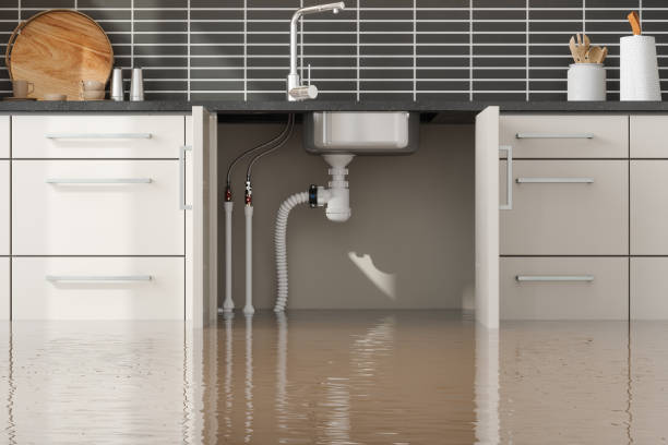Best 24-hour water damage restoration  in Camilla, GA
