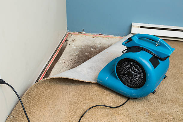  Camilla, GA Water damage restoration Pros